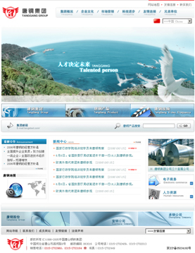 唐钢集团 _网站建设 网页设计